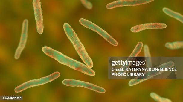 tuberculosis bacteria, illustration - leprosy stock illustrations