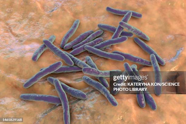 tuberculosis bacteria, illustration - leprosy stock illustrations