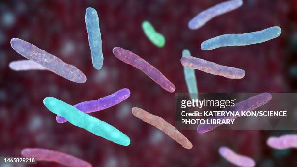 tuberculosis bacteria, illustration - lepra stock-grafiken, -clipart, -cartoons und -symbole