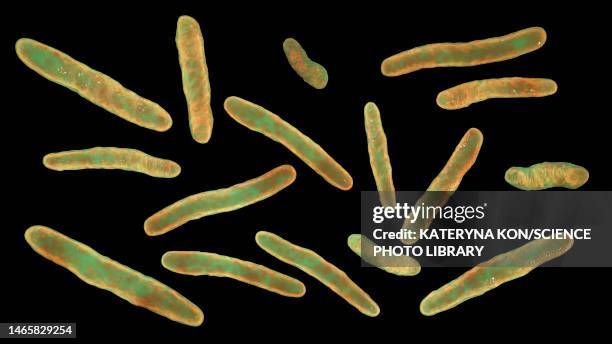 tuberculosis bacteria, illustration - leprosy stock illustrations