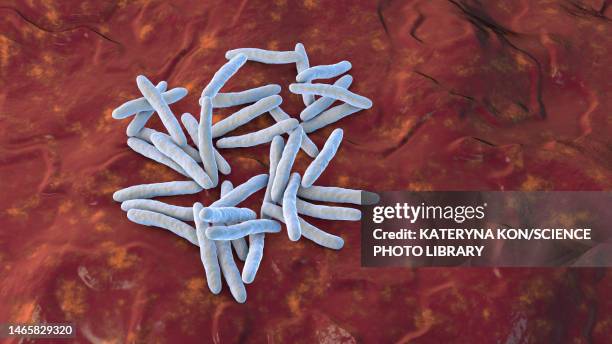 tuberculosis bacteria, illustration - leprosy stock illustrations