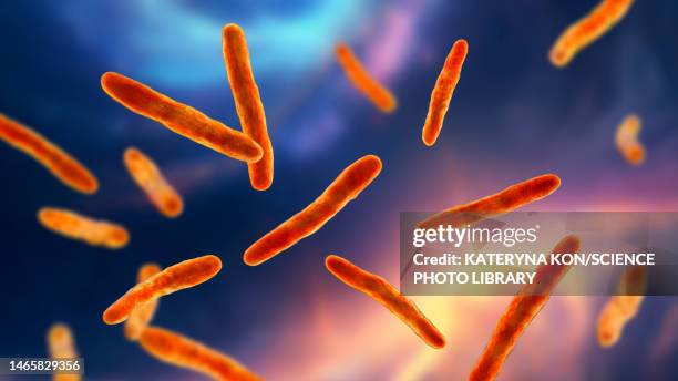 illustrazioni stock, clip art, cartoni animati e icone di tendenza di mycobacterium bovis bacteria, illustration - var