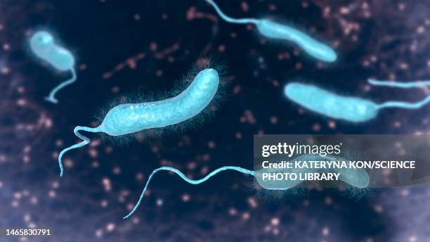 vibrio mimicus bacteria, illustration - コレラ菌点のイラスト素材／クリップアート素材／マンガ素材／アイコン素材