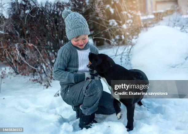 a boy on the street with a dog. winter day and snow. the boy treats the dog with candy. - i love teen boys stock-fotos und bilder