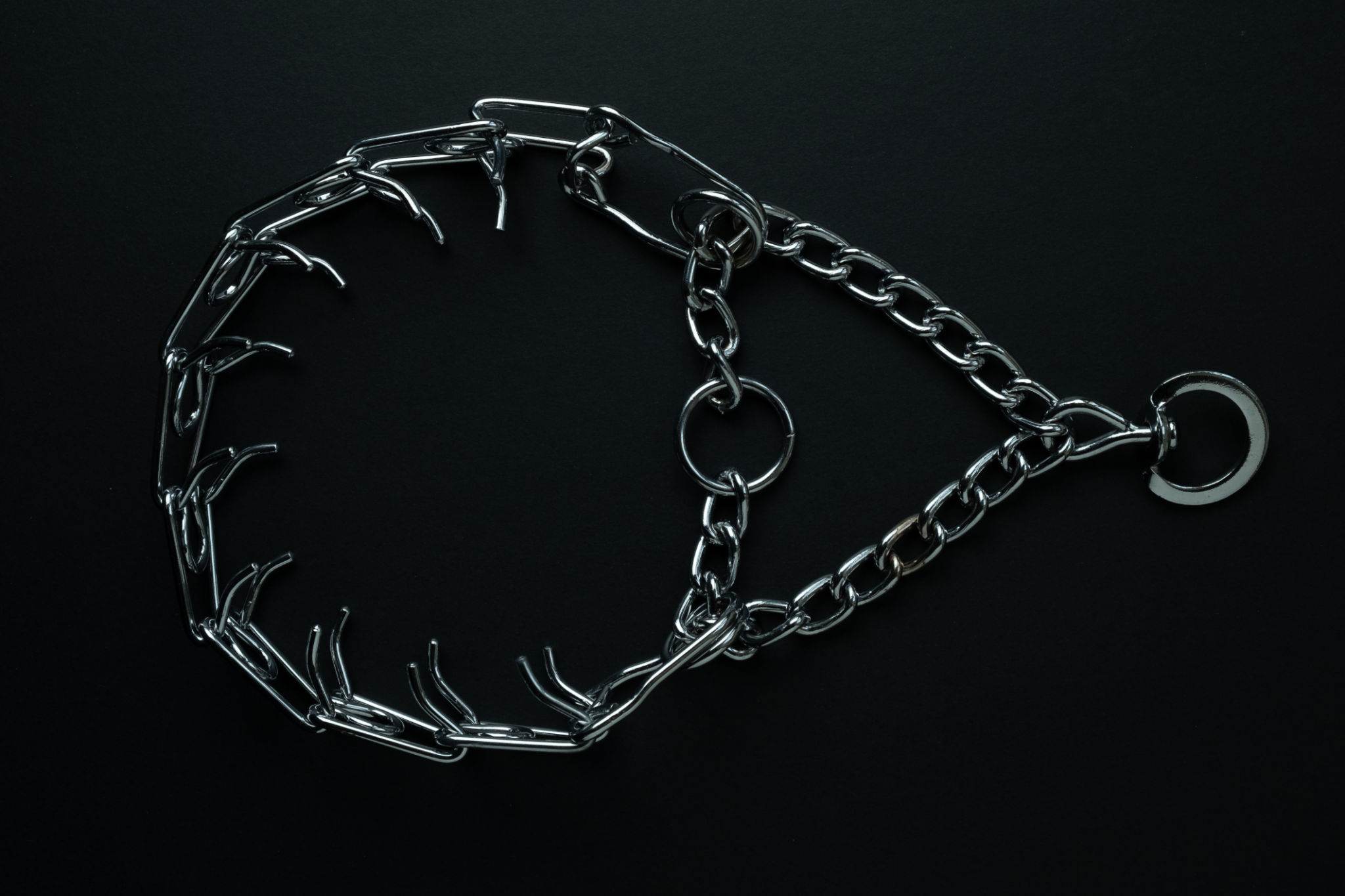 Prong collar on black background Prong collar on black background