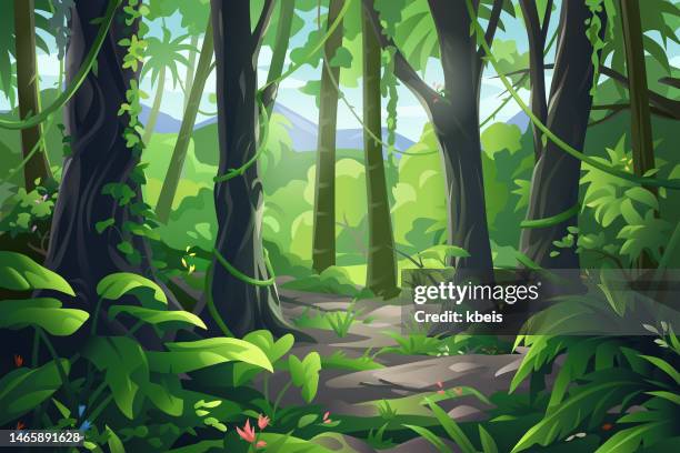 illustrazioni stock, clip art, cartoni animati e icone di tendenza di bellissima foresta pluviale - foresta pluviale