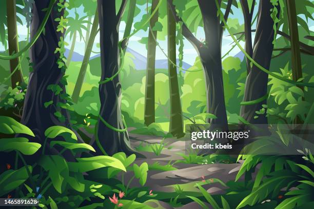 ilustrações de stock, clip art, desenhos animados e ícones de beautiful rainforest - floresta pluvial