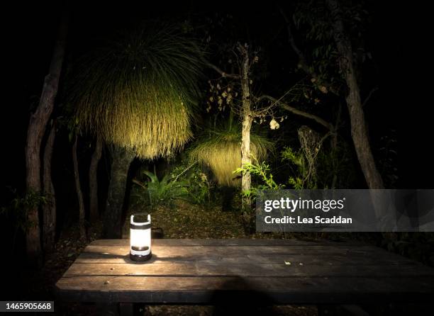 Bush Image Night 1,819 Green Grass Trees Stock Photos, High-Res Pictures, and Images ...