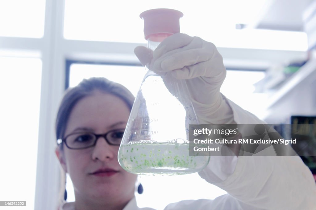 Scientist examining plants in jar in lab