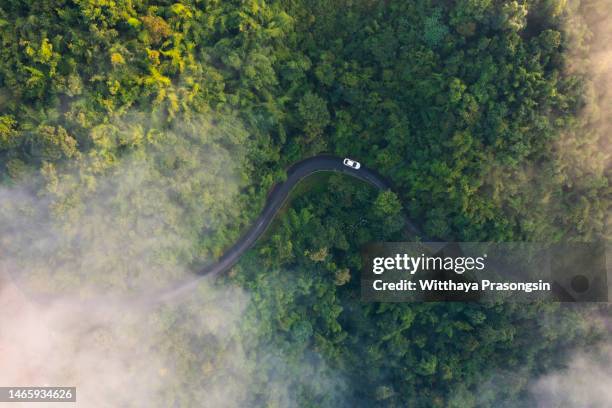 Drive An Electric Car Along Picturesque Country Roads Through Green Pine Forests, Foto de stock