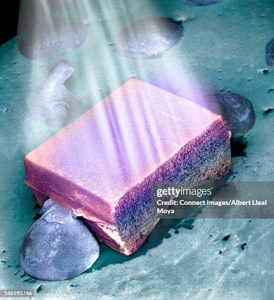 Sem Micrograph Of Photoelectric Cell, Foto de stock