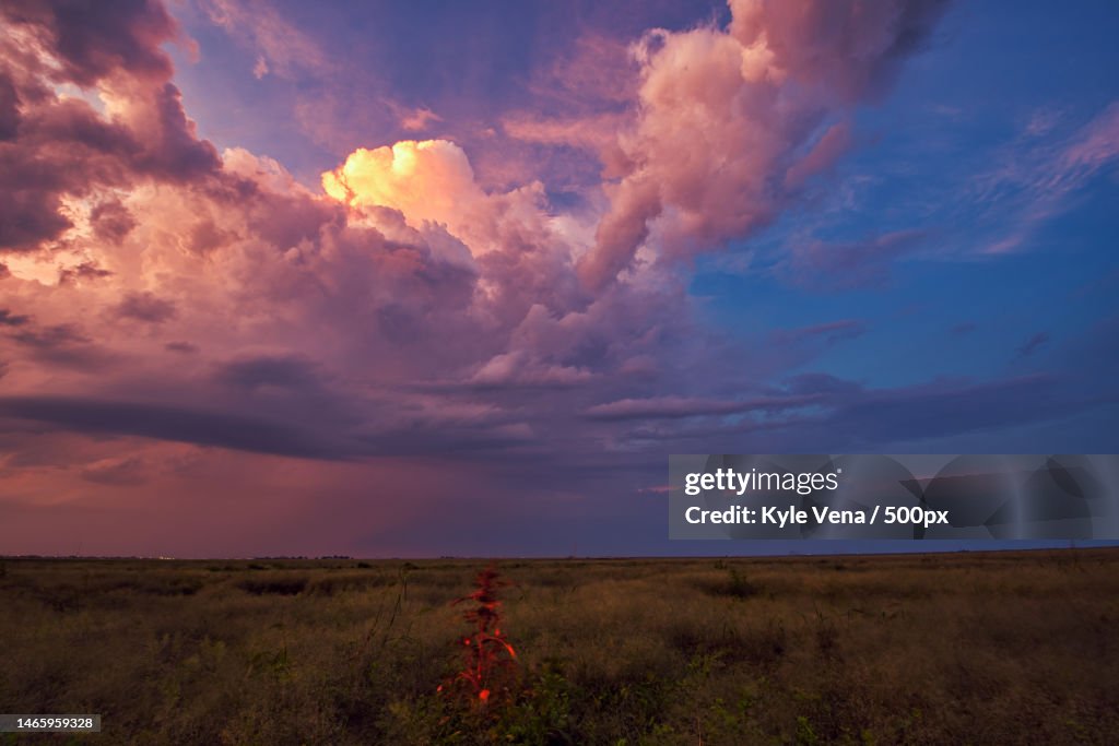 Scenic view of field against sky during sunset,United States,USA