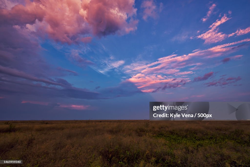 Scenic view of field against sky during sunset,United States,USA