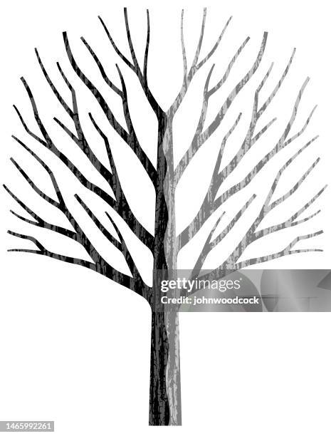 graphic oak tree illustration - tree trunk stock illustrations
