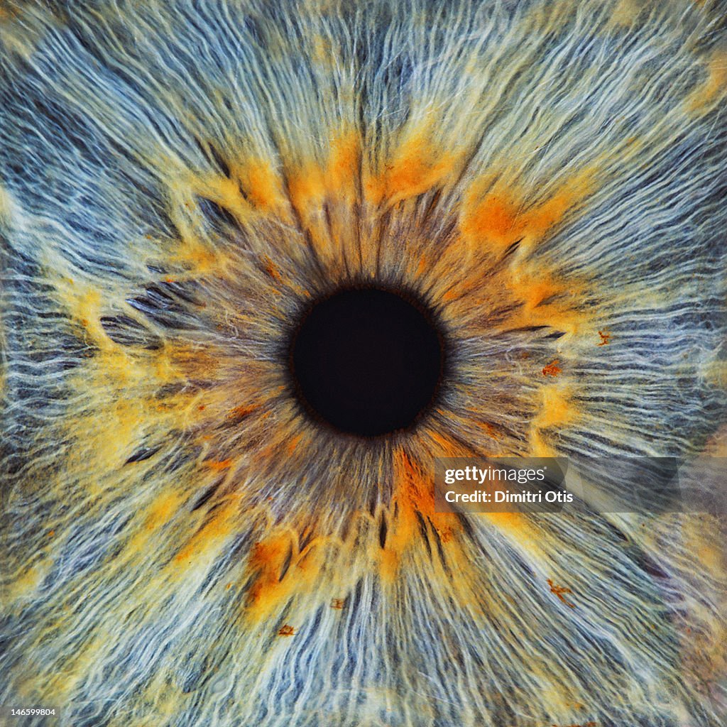 Close-up of a human eye, pupil and iris