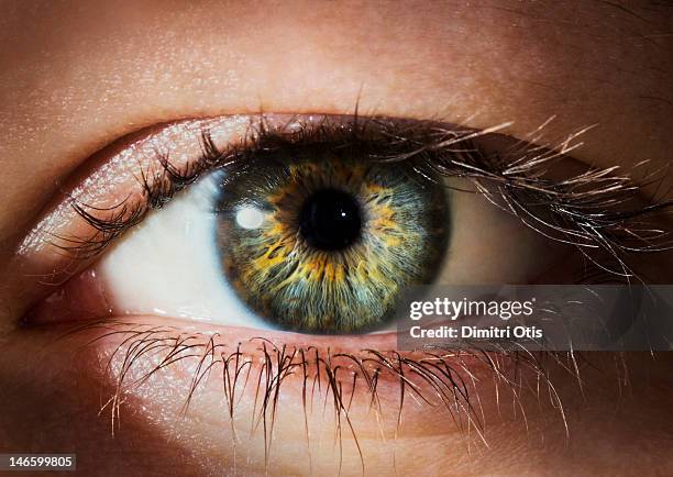 close-up of a human eye and iris - pair of eyes stockfoto's en -beelden