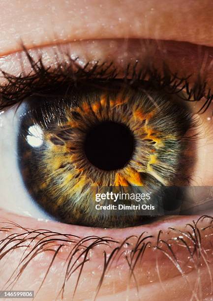 close-up of a human eye and iris - pupille stock-fotos und bilder