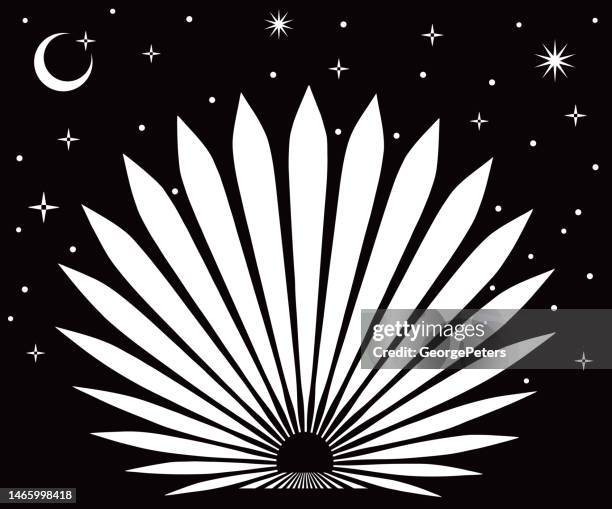 blue agave plant with night sky and stars - agave plant stock illustrations