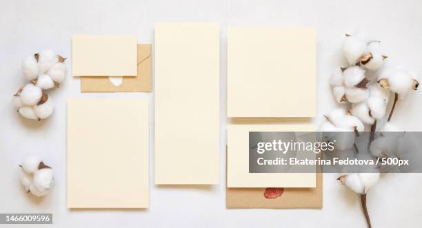 blank cards and envelope with cotton flowers top view on white,wedding mockup,brindisi,italy - business card mockup imagens e fotografias de stock