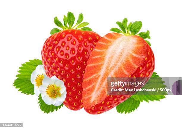strawberry with leaves and flowers isolated on white background - 正中縦断 ストックフォトと画像