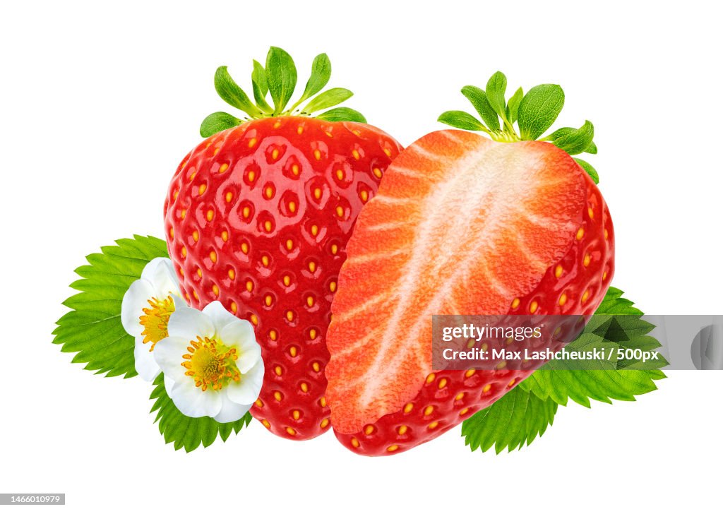 Strawberry with leaves and flowers isolated on white background