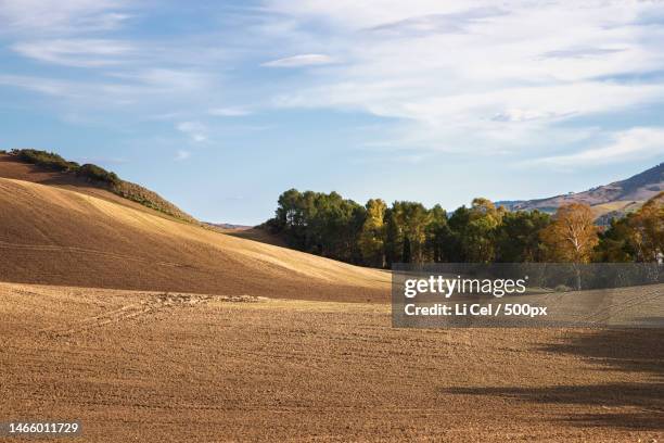 scenic view of field against sky,matera,italy - southern italy fotografías e imágenes de stock