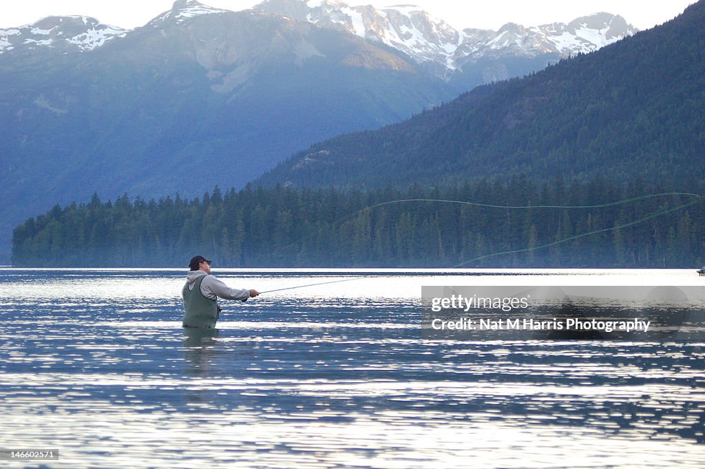 Fly Fisherman