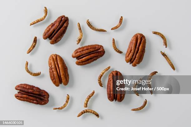 high angle view of nuts with almonds against white background,graz,austria - noz pecã - fotografias e filmes do acervo