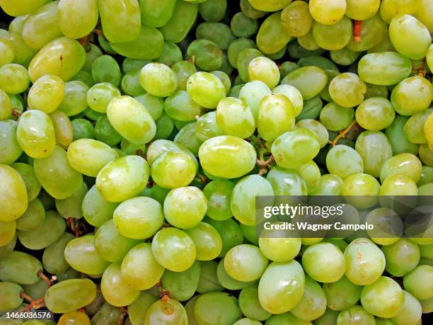 green grapes in the marketplace - à maturité photos et images de collection