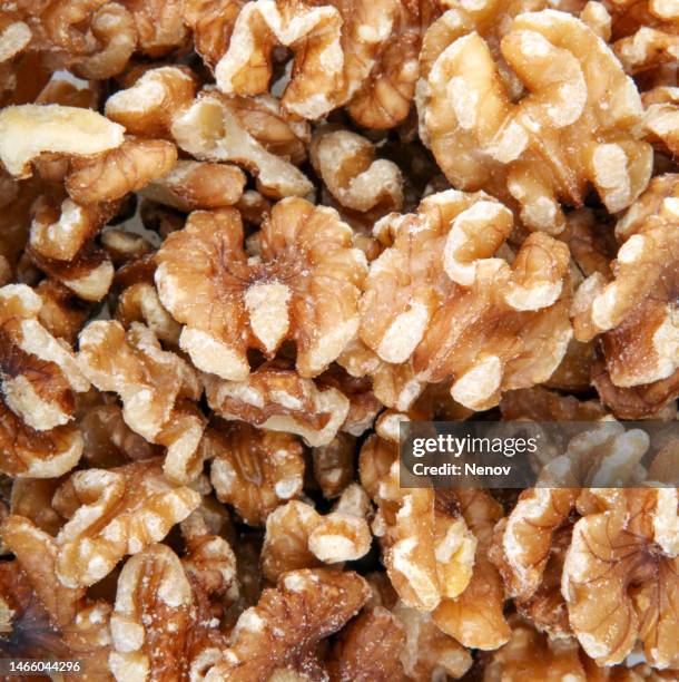 Open Nut Shell Open Nutshell Photos and Premium High Res Pictures - Getty Images
