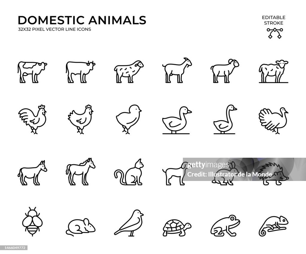 Conjunto editable de iconos vectoriales de trazo de animales domésticos