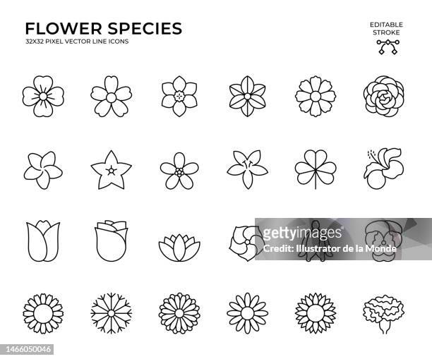 ilustraciones, imágenes clip art, dibujos animados e iconos de stock de conjunto editable de iconos vectoriales de trazo de especies de flores - carnation flower