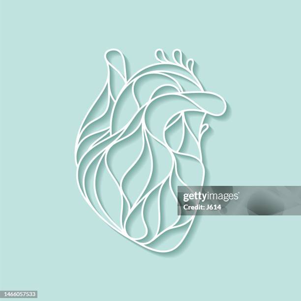 stockillustraties, clipart, cartoons en iconen met abstract human heart - human body outline drawing