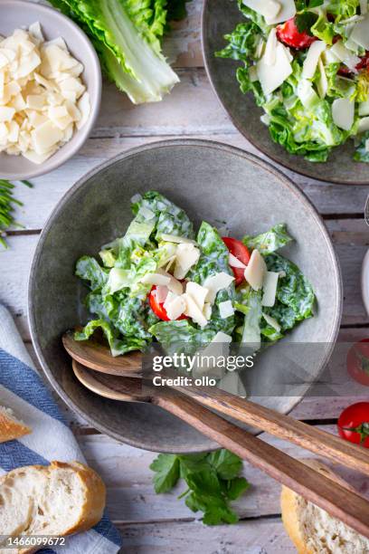 grüner salat mit tomaten, brot und parmesan - endivie stock-fotos und bilder