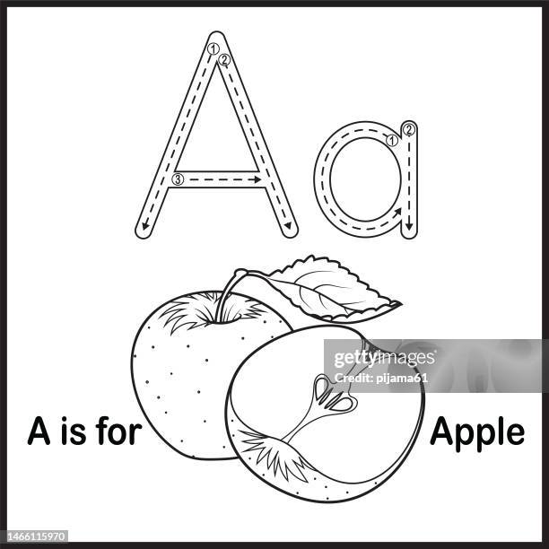 flashcard letter a is for apple vector illustration - cut apple white background stock illustrations
