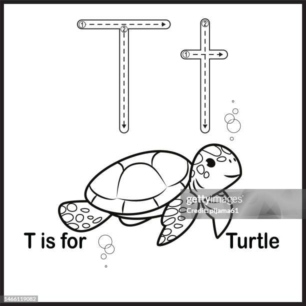 illustrations, cliparts, dessins animés et icônes de la lettre t de la carte mémoire est pour illustration vectorielle tortue - tortoise