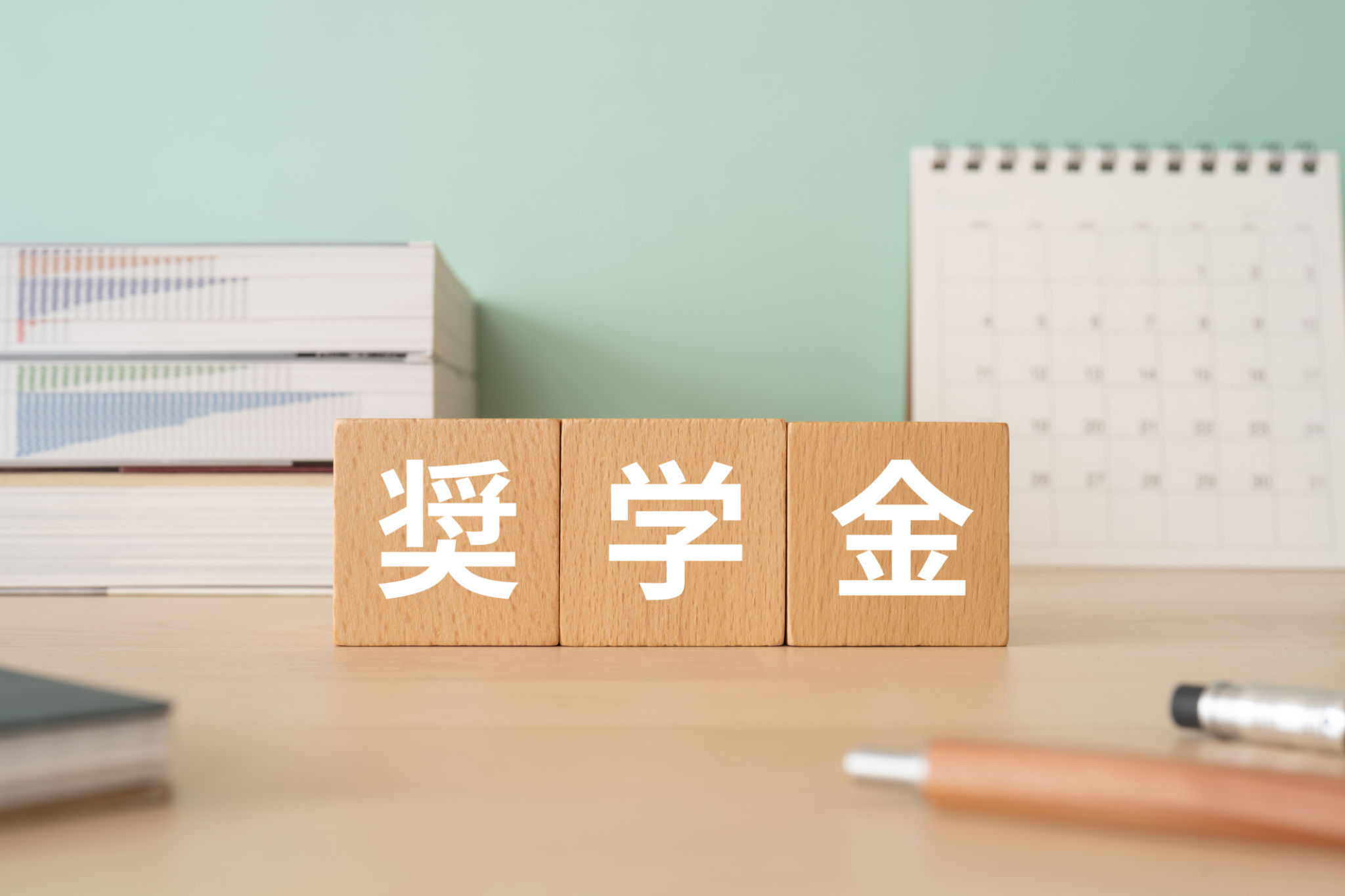 scholarship Japan