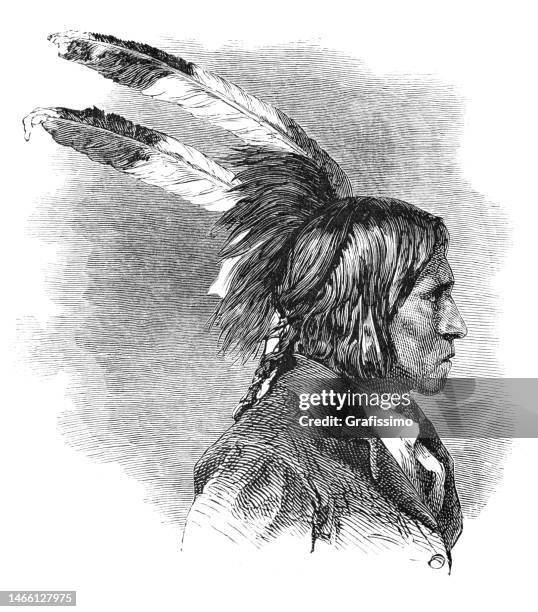 stockillustraties, clipart, cartoons en iconen met native american dakota sioux warrior portrait 1869 - amerikaans indiaanse etniciteit