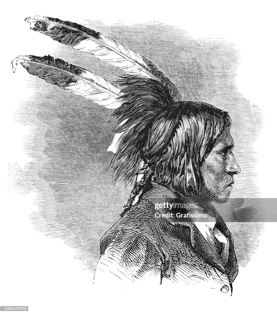 Native american Dakota Sioux warrior portrait 1869