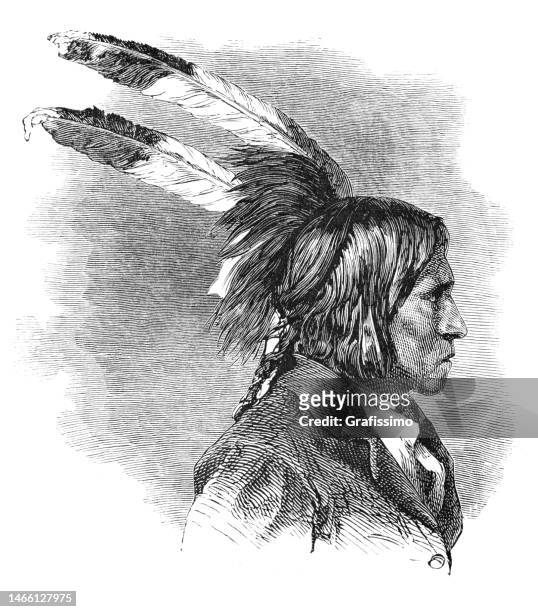 native american dakota sioux warrior portrait 1869 - sioux native americans stock illustrations