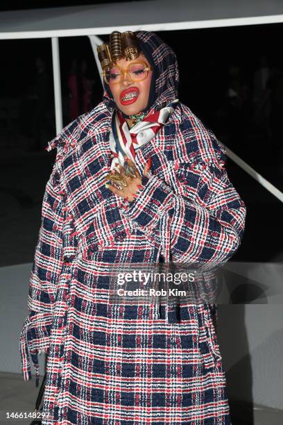 Erykah Badu attends the Thom Browne fashion show during New York Fashion Week at The Shed on February 14, 2023 in New York City.