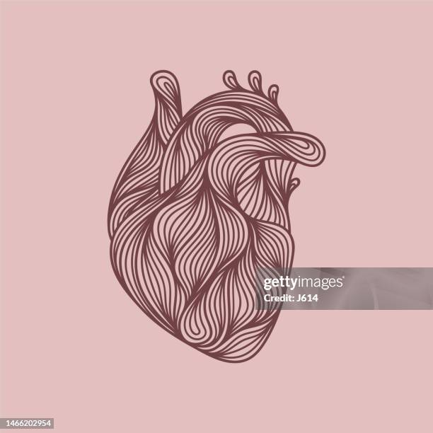 abstract human heart doodle - lifestyle doodle stock illustrations