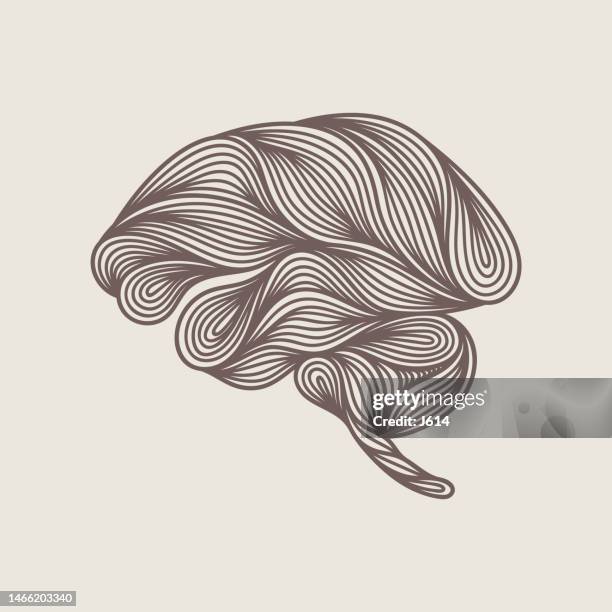 illustrations, cliparts, dessins animés et icônes de doodle abstrait du cerveau humain - cervelet