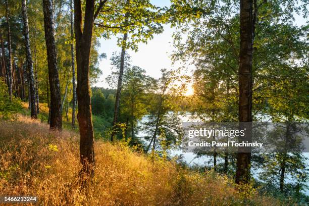sunset over one of the many lake in the kashubia (kaszuby) region in pomeranian province (pomorskie), poland, 2020 - pomorskie province stockfoto's en -beelden
