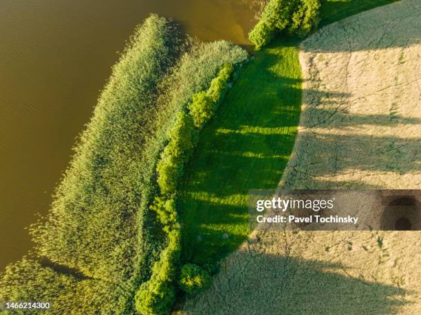 typical lakeshore of over one of the many lakes in the kashubia (kaszuby) region in pomeranian province (pomorskie), poland, 2020 - pomorskie province stockfoto's en -beelden