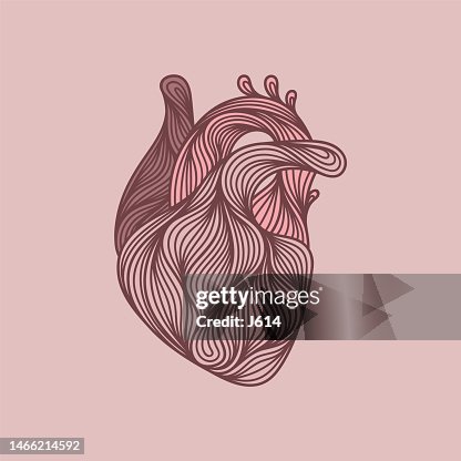 Abstract human heart drawing Abstract human heart drawing
