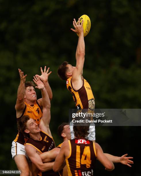 Fergus Greene of the Hawks attempts to mark the ball during the Hawthorn Hawks AFL intra club match at La Trobe University on February 15, 2023 in...