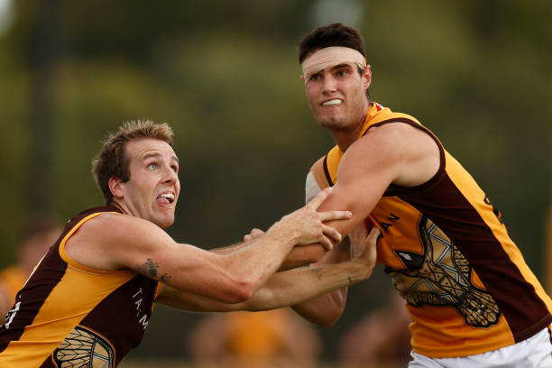 Max Lynch of the Hawks and Ned Reeves of the Hawks contest the ruck during the Hawthorn Hawks AFL intra club match at La Trobe University on February...