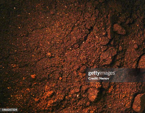 close-up photo of freshly ground coffee - cafeïne stockfoto's en -beelden