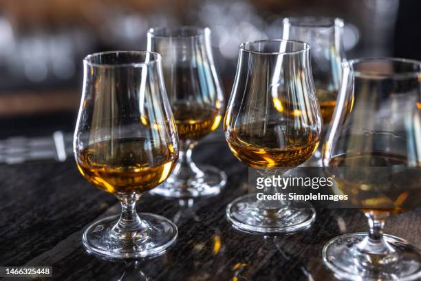 drinking glasses with a cognac, rum, brandy or whiskey drink on a bar counter in night club. - destillation stock-fotos und bilder